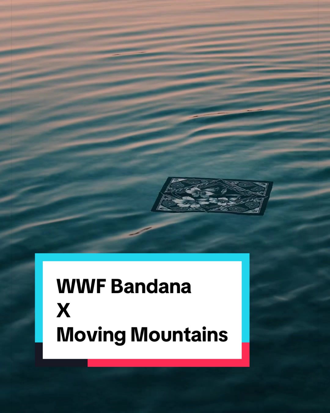 @WWF Schweiz