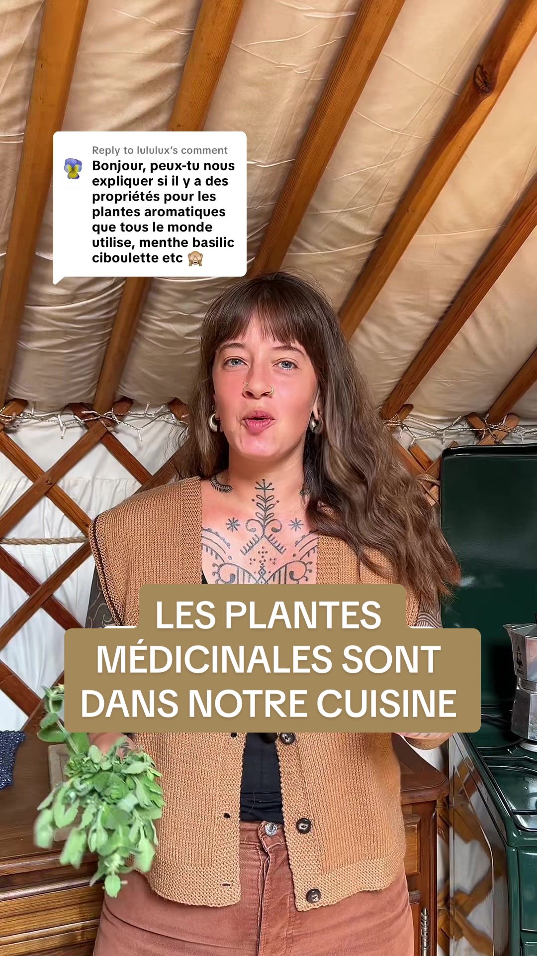 @animabotanica