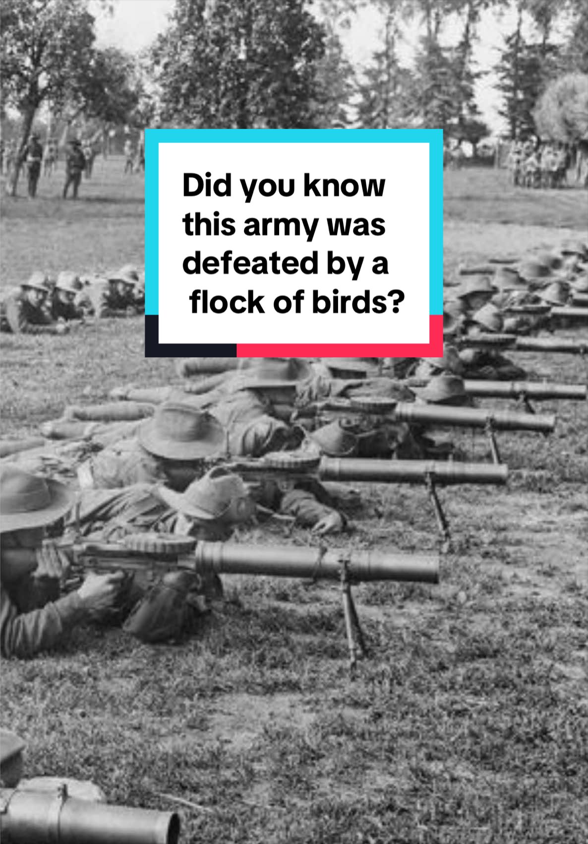 @Historyarchivist