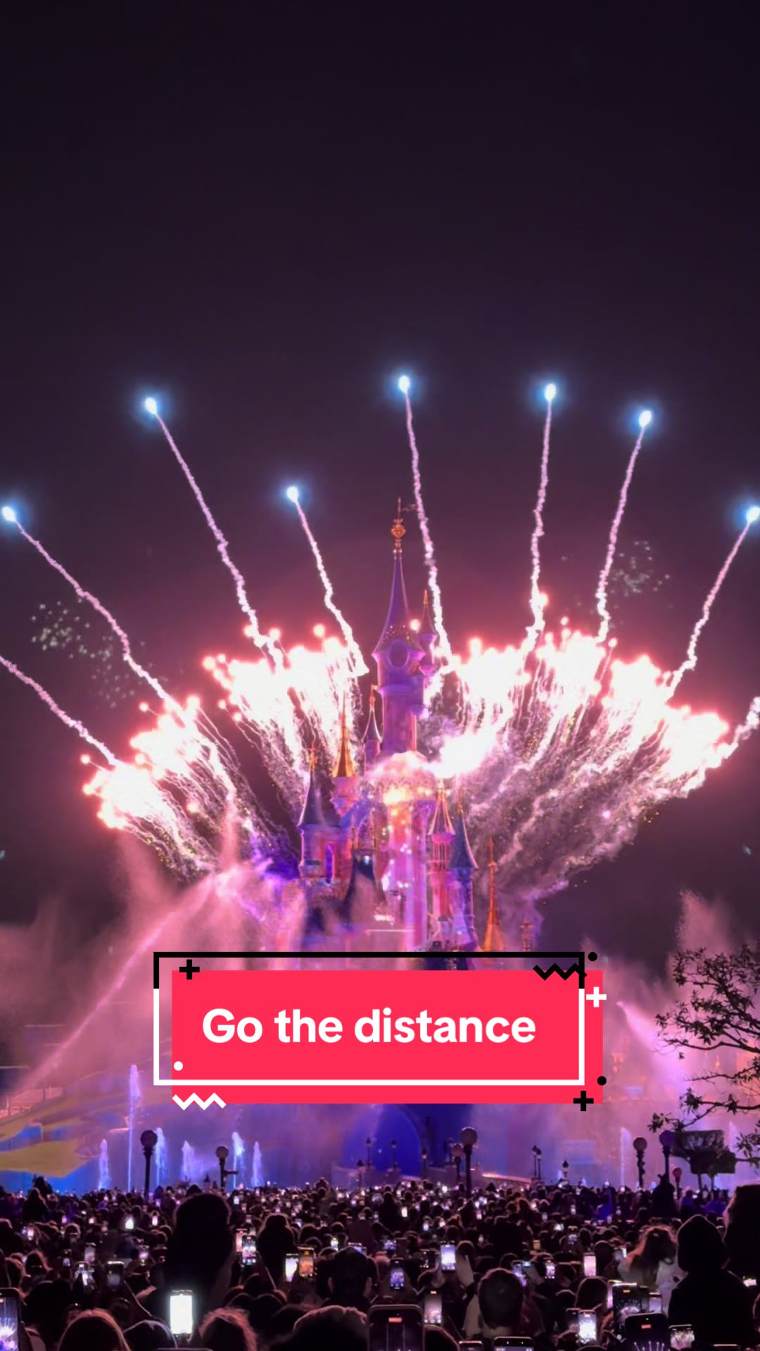 @✨DLP.trip✨