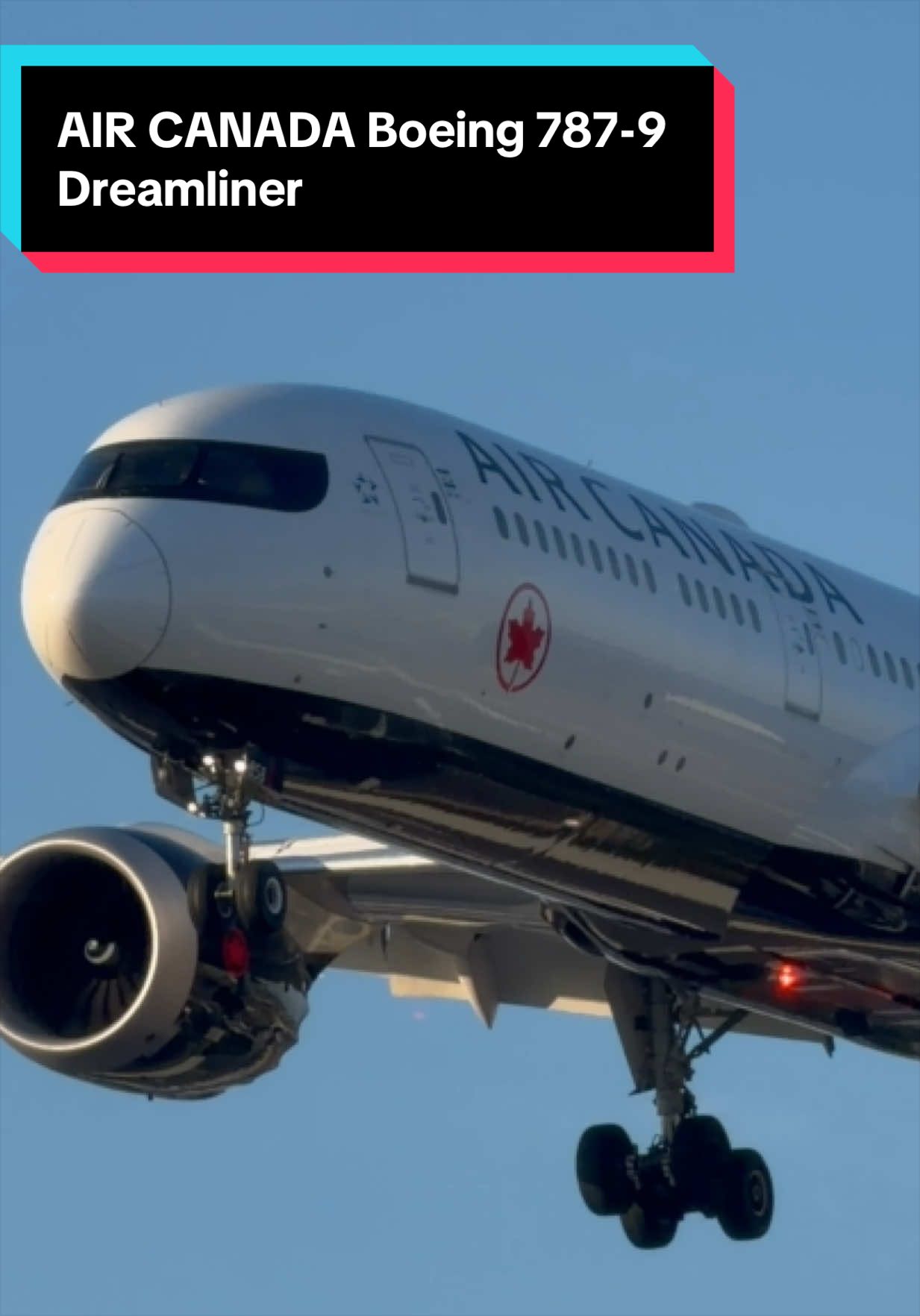 @AVIATION_YYZ_SPOTTER