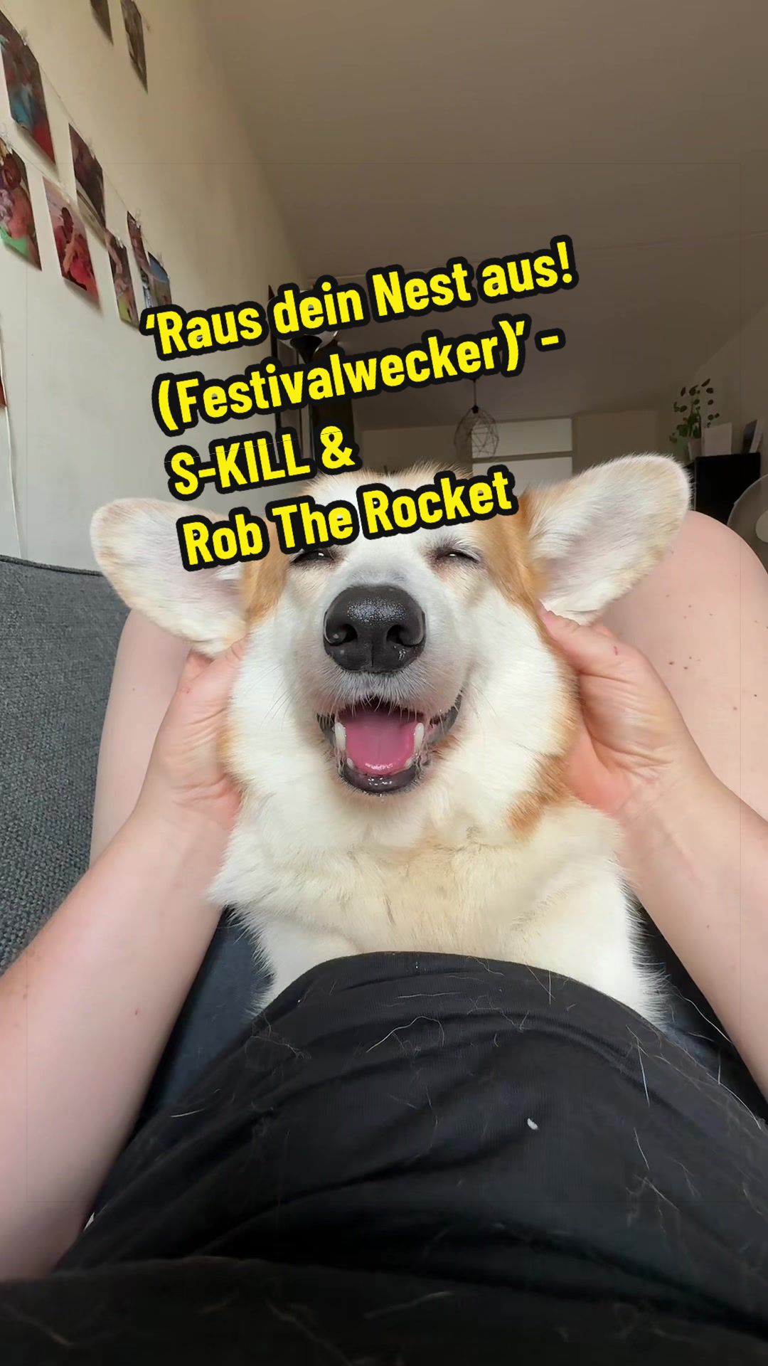 @Kickroll Corgi Charlie ๐ถ๐