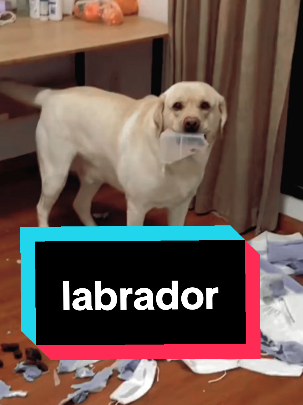 @AnimalSphere
