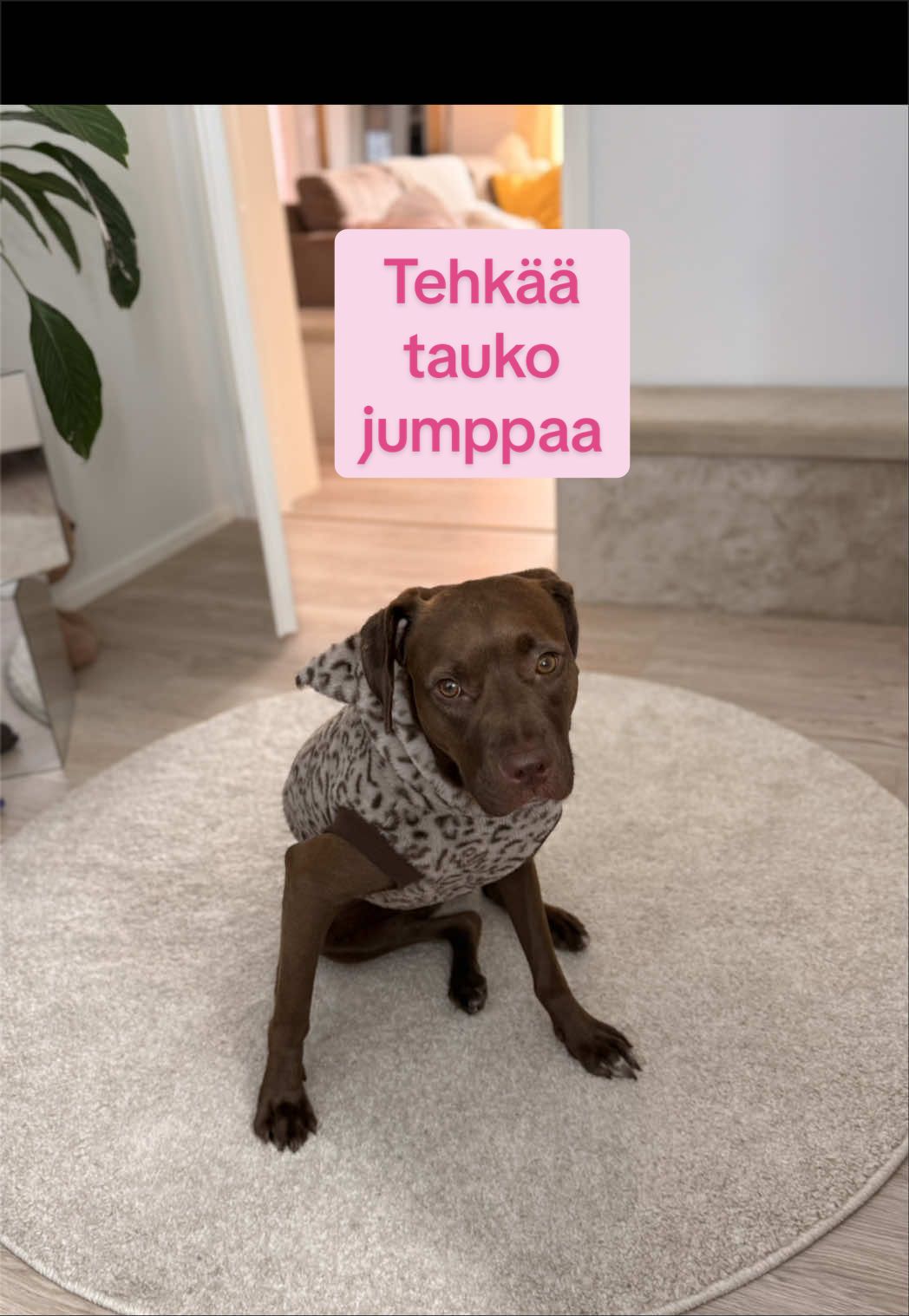 @Amanda✨