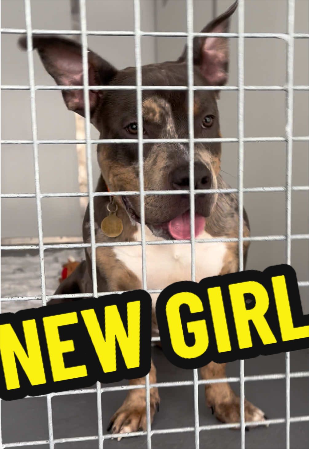 @RSPCA brighton
