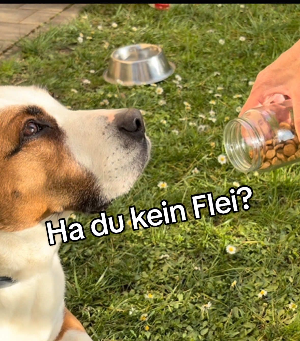 @Herr Dexti