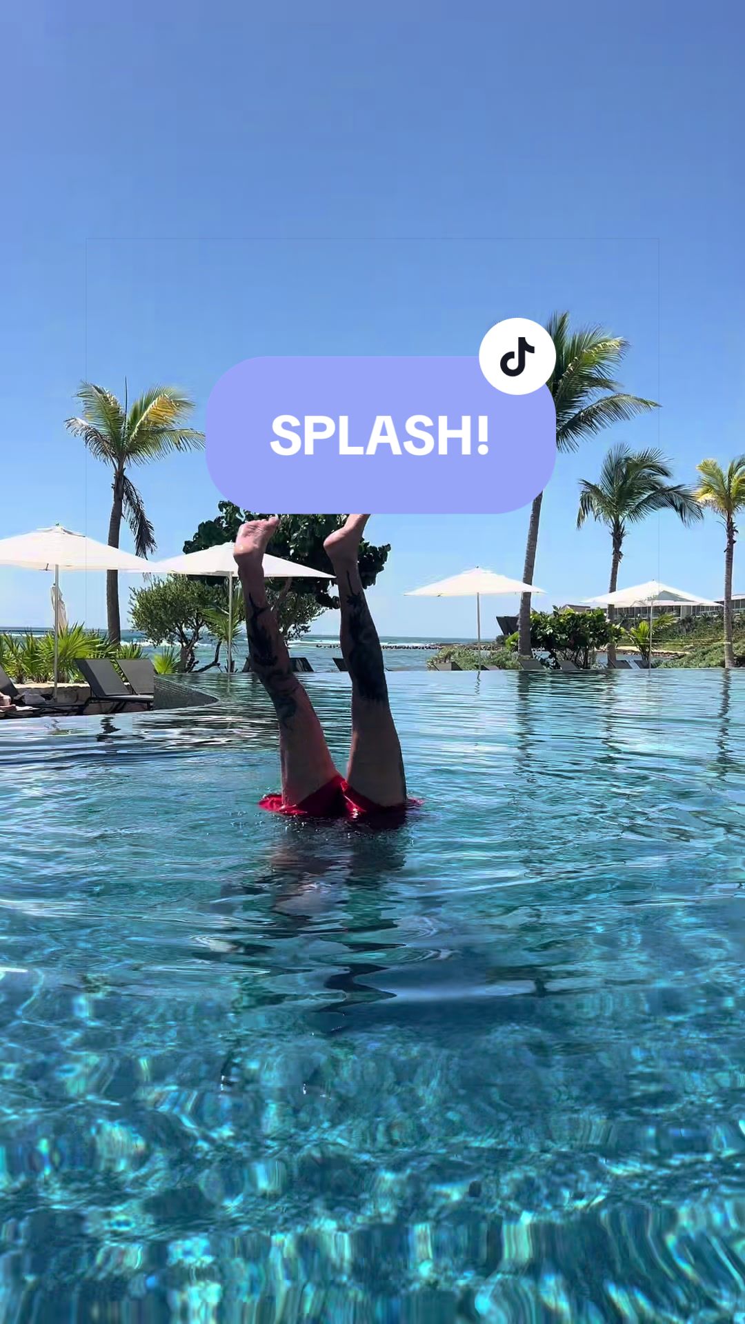 @SCUBA&ensp;DAN&ensp;🦈