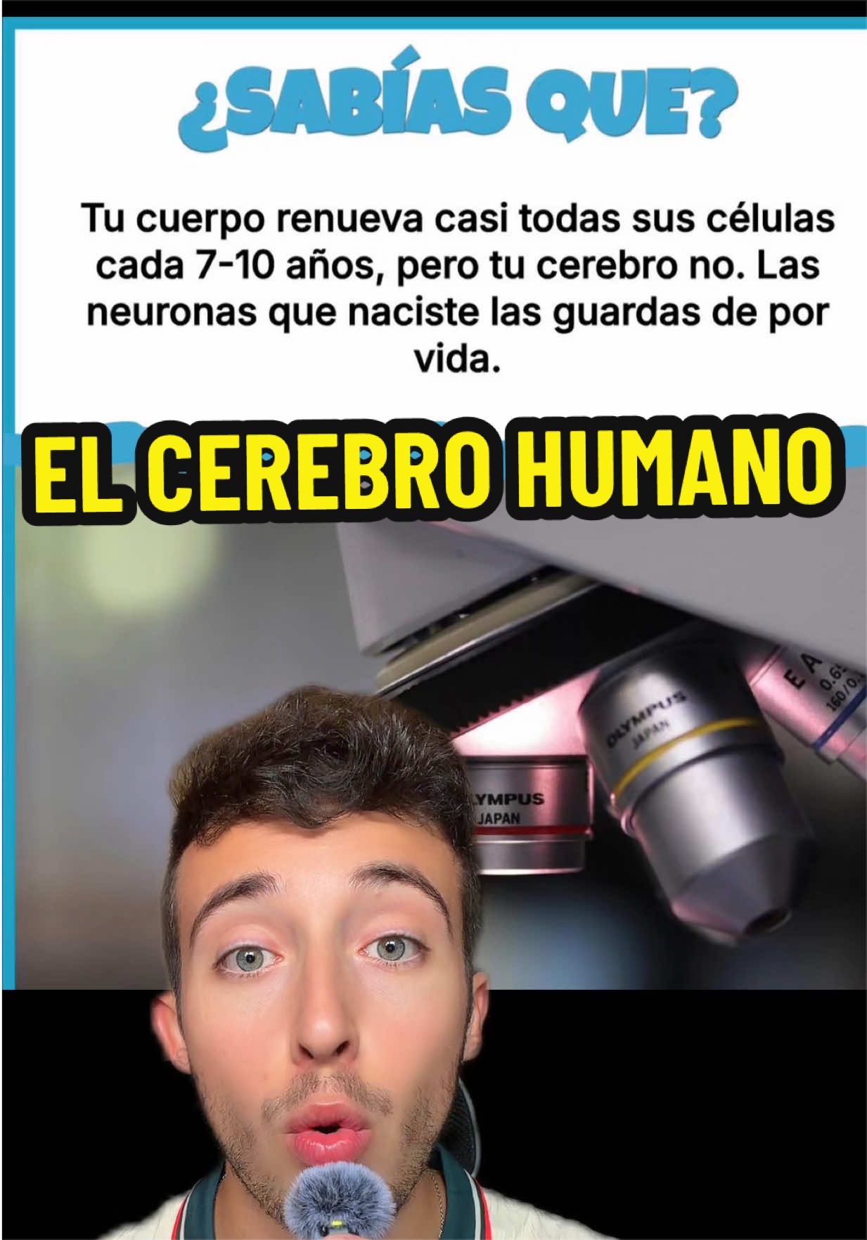 @ivanttops