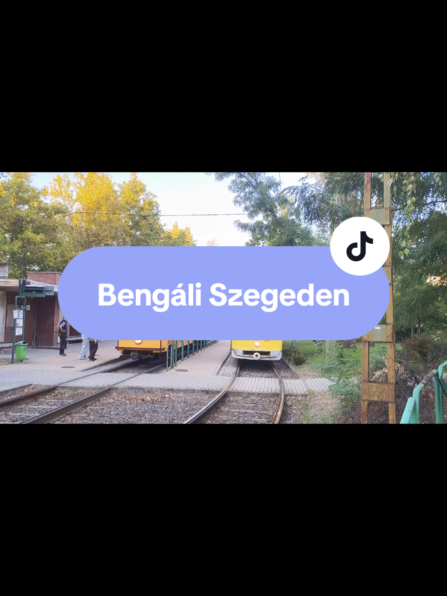 @PTF - Public Transport Fan