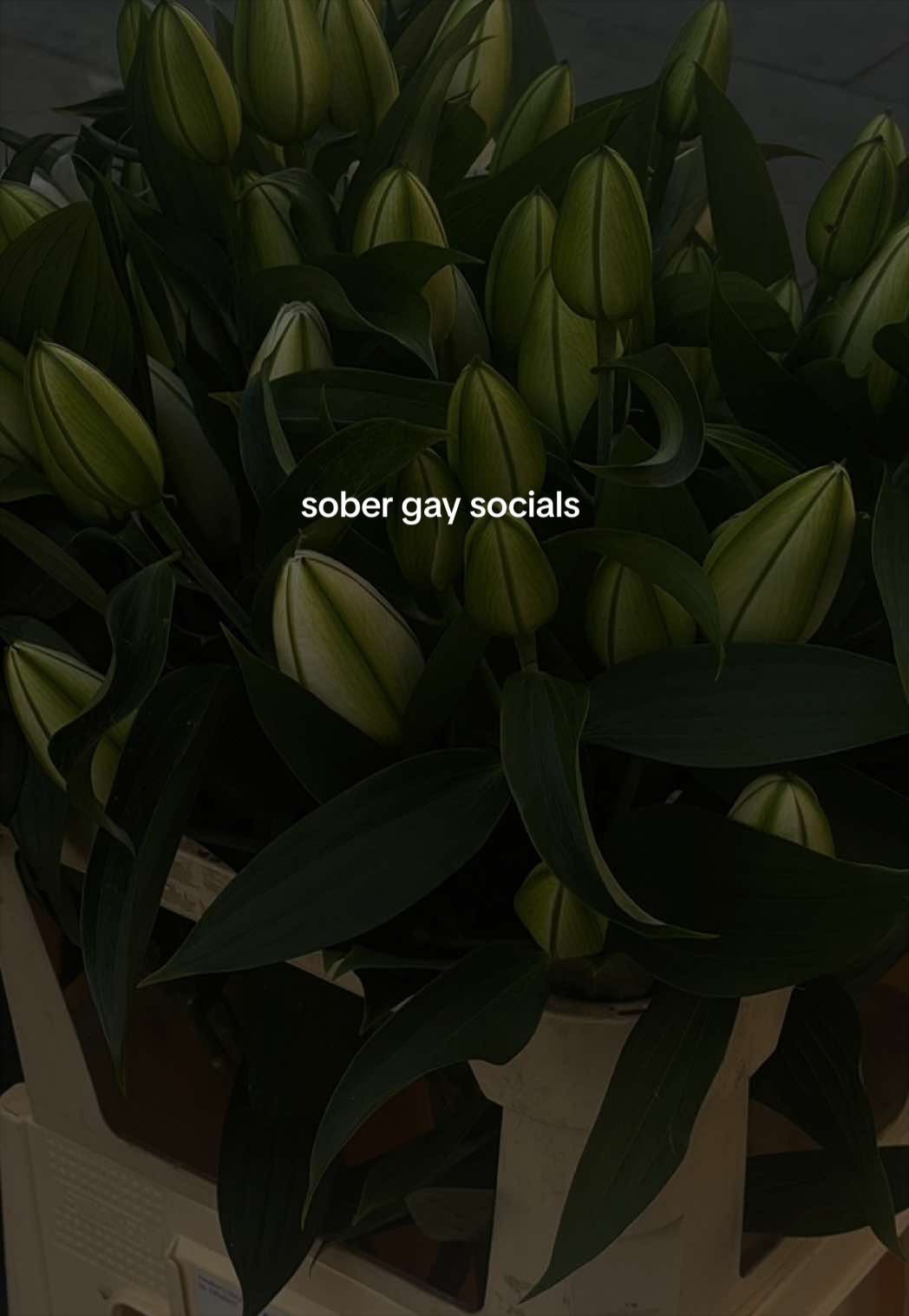 @Siôn | The Sober Gay