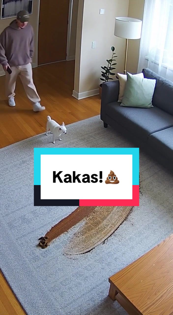 @Gustavs Strazdins