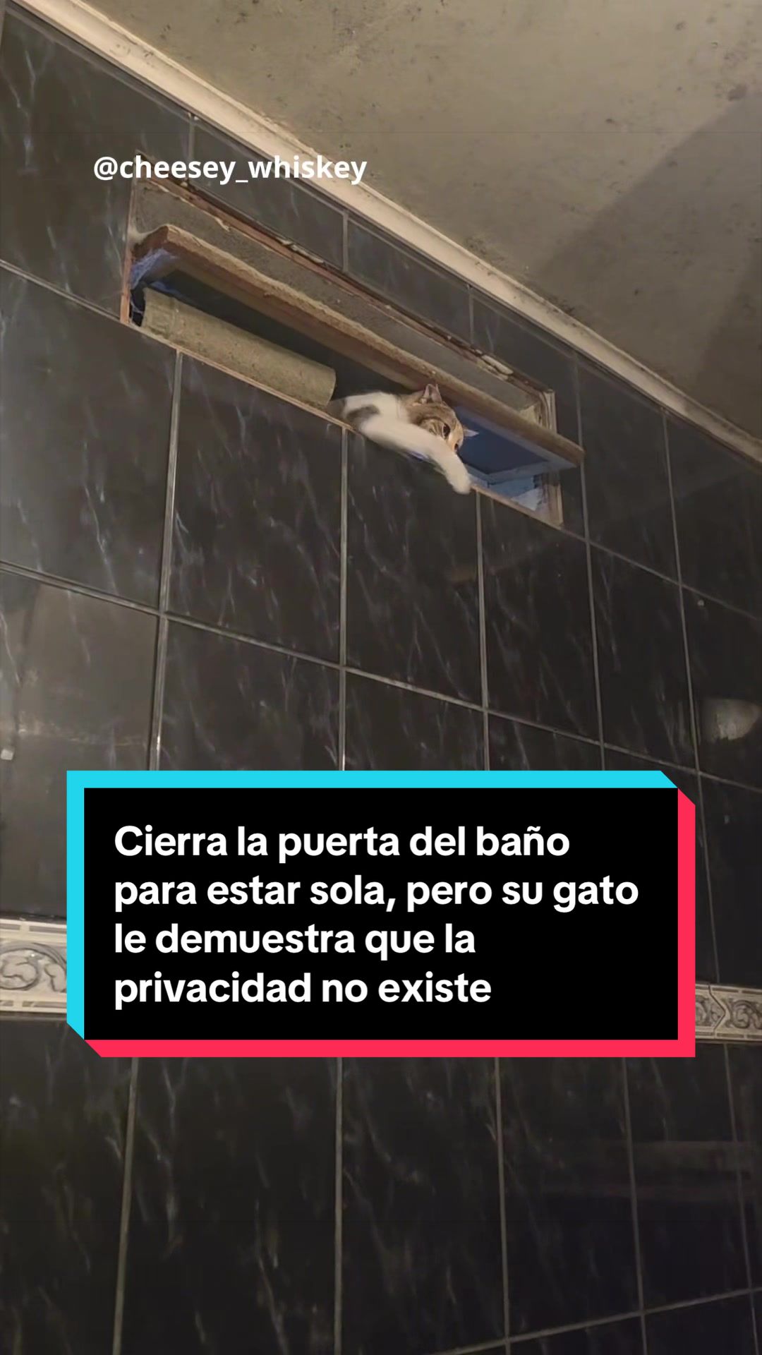 @EL ESPAÑOL 🦁