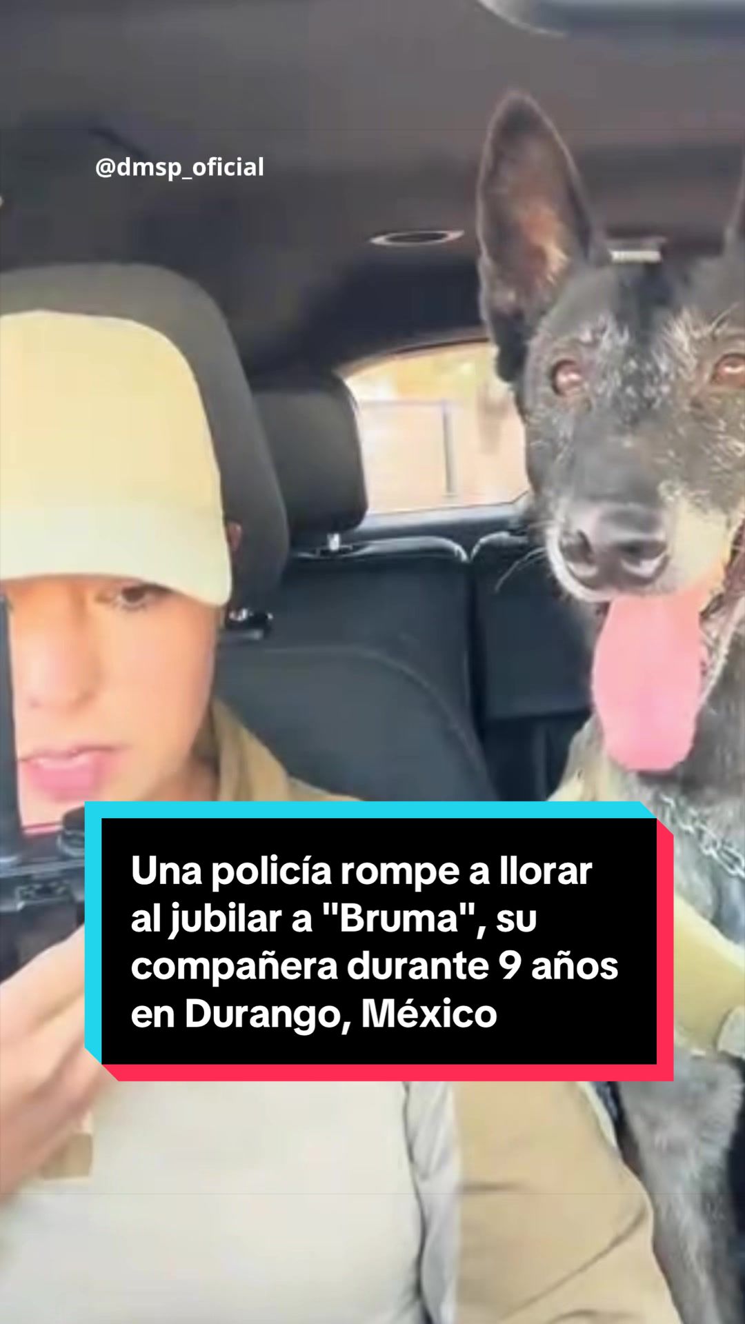 @EL ESPAÑOL 🦁