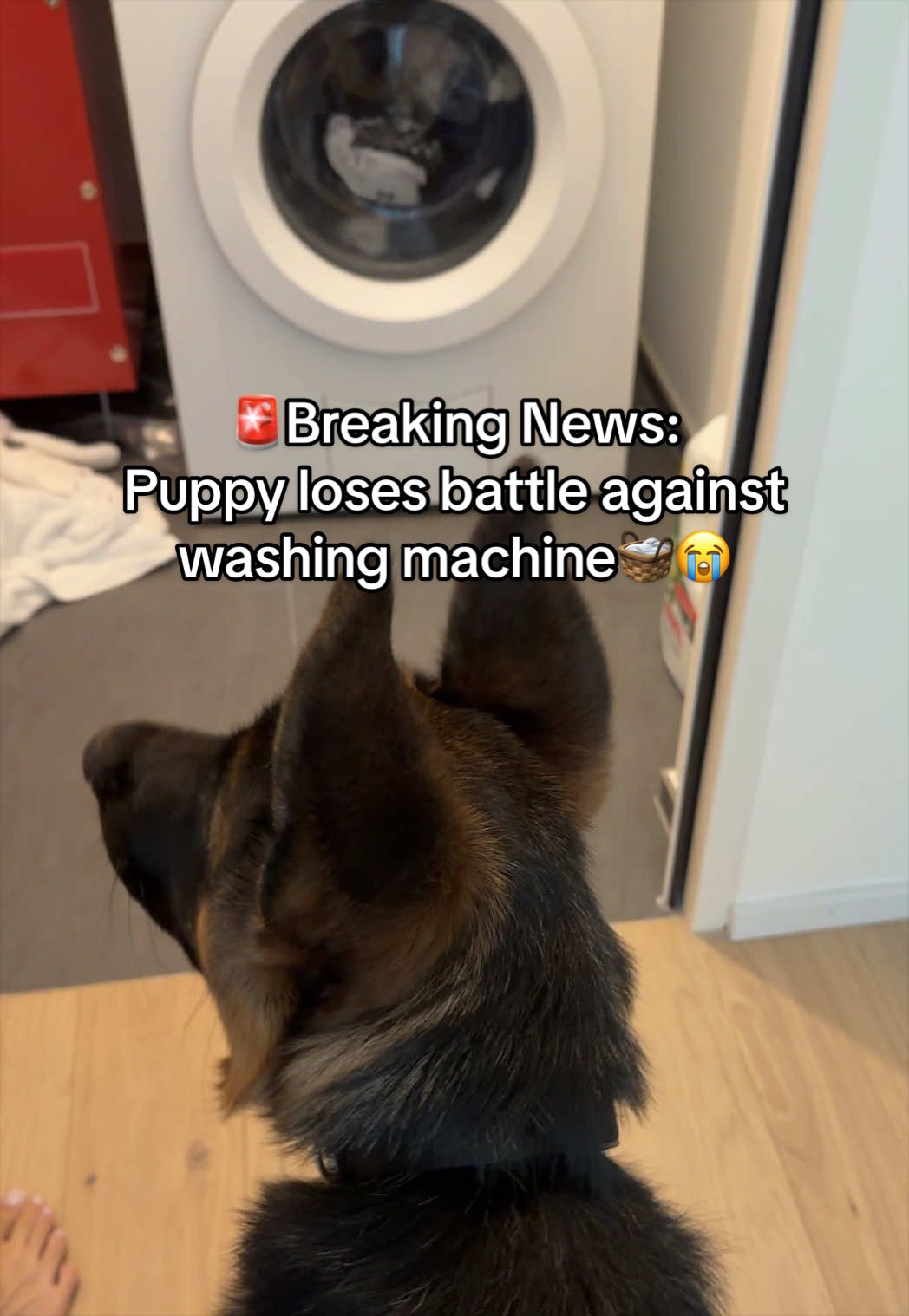 @gsd.kuba