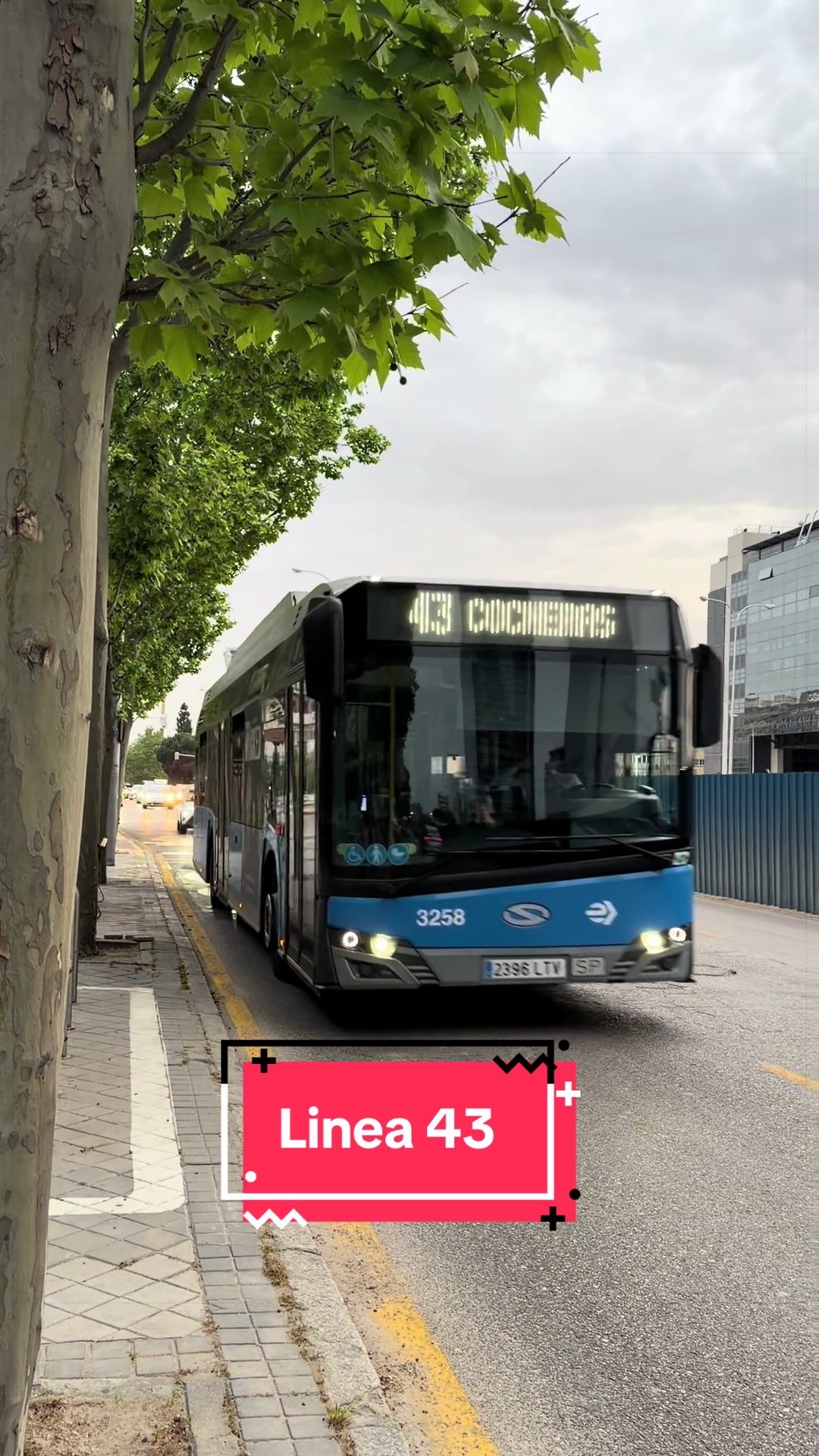 @BUSES MADRID 🚎💙💚