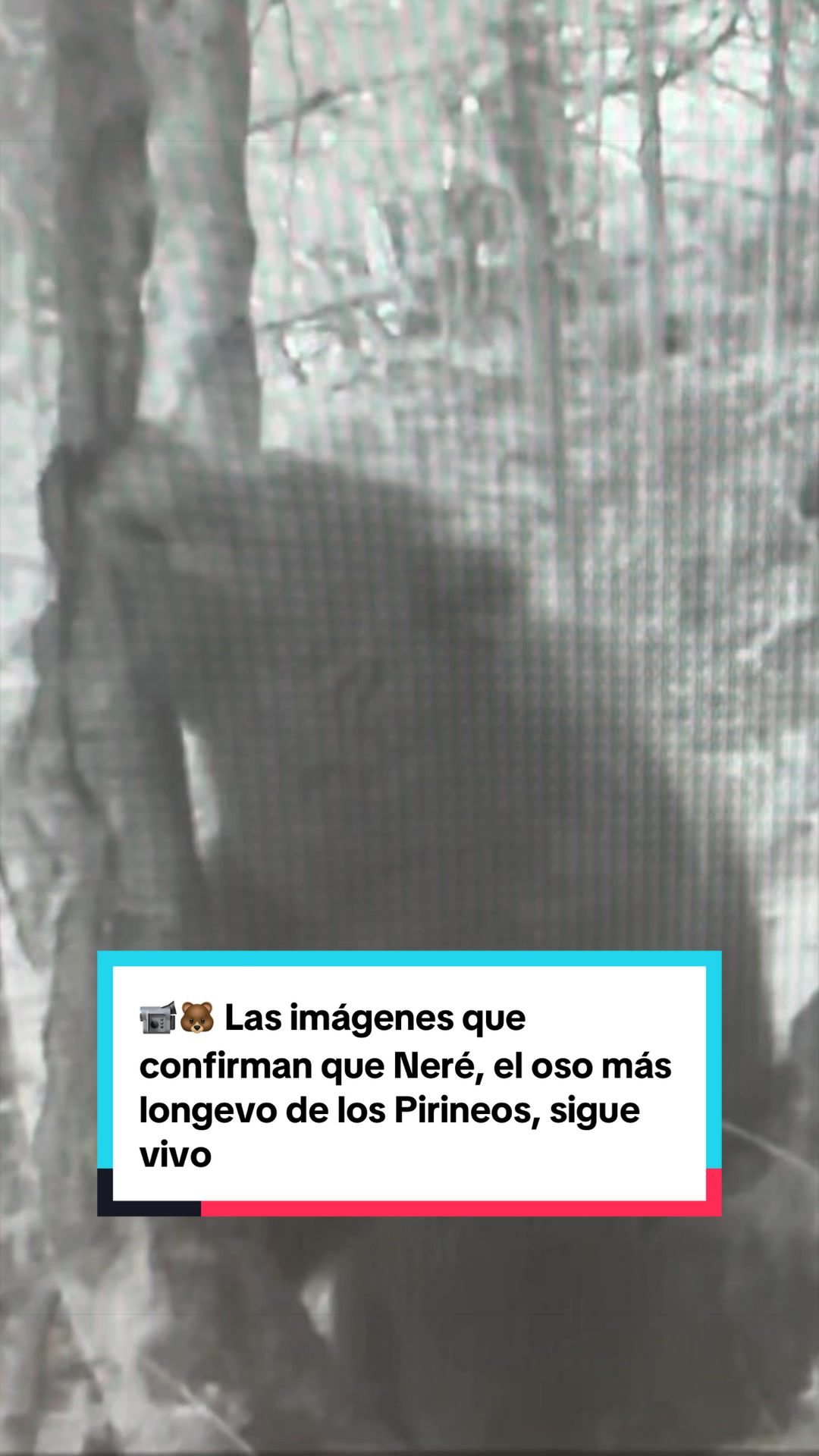 @Heraldo de Aragón - Noticias