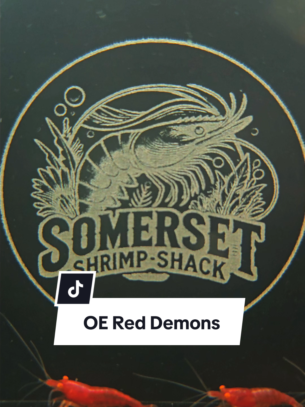 @SomersetShrimpShack