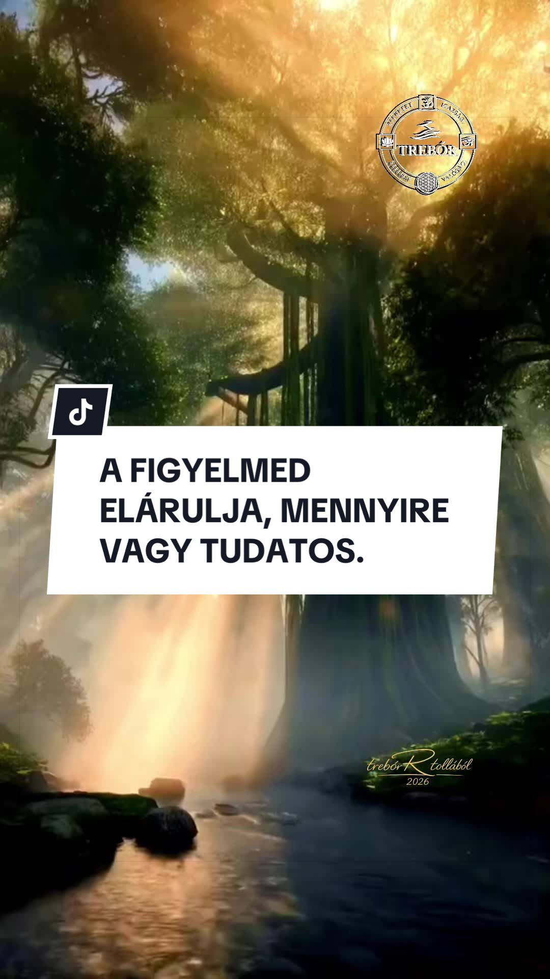 @Rajna R&oacute;bert &bull; treb&oacute;R