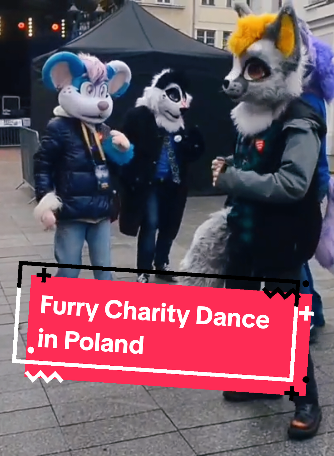 @Krawacik Panda