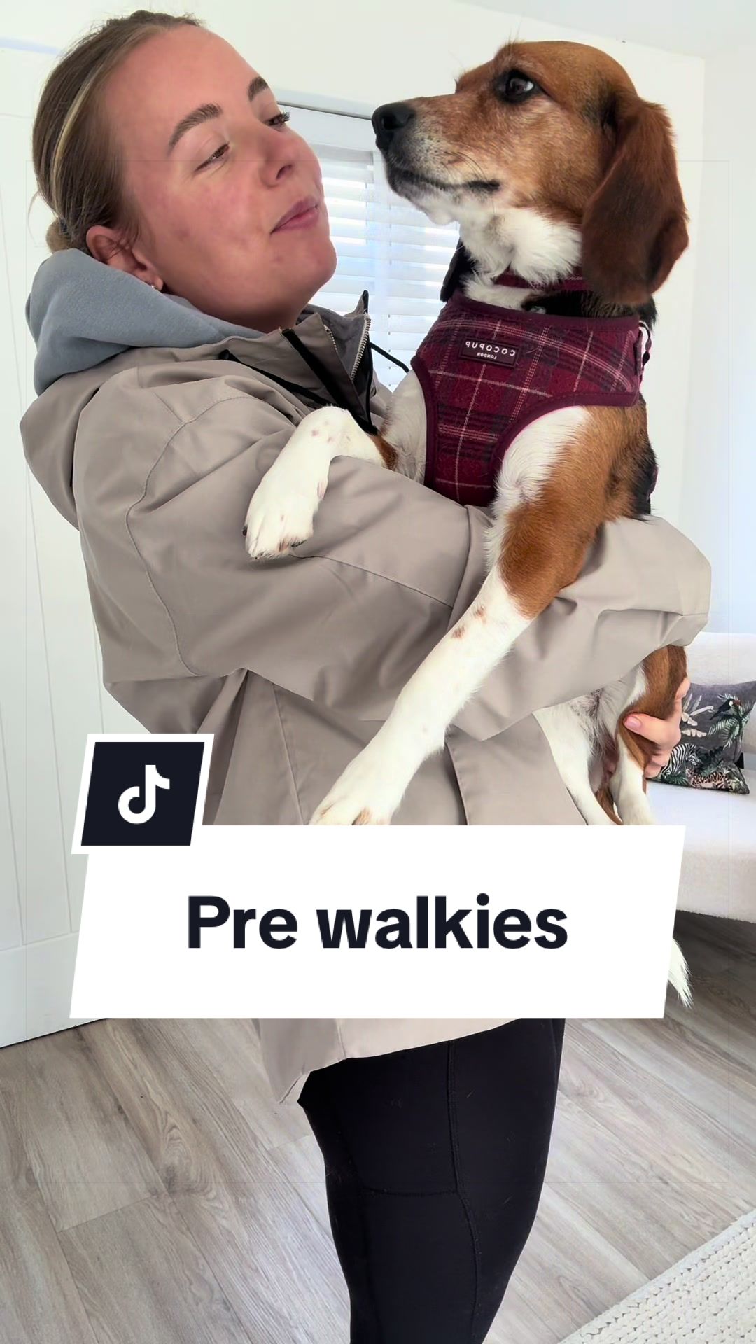 @Winnie the Therapy Dog 🐾✨