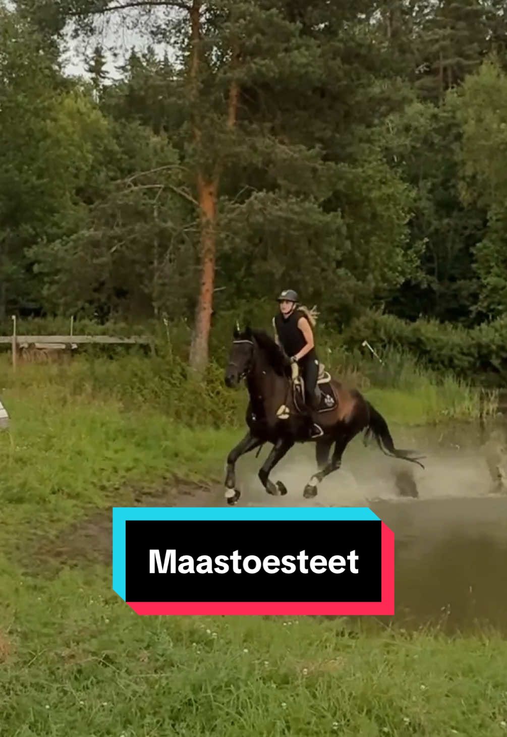 @Minja Hindström