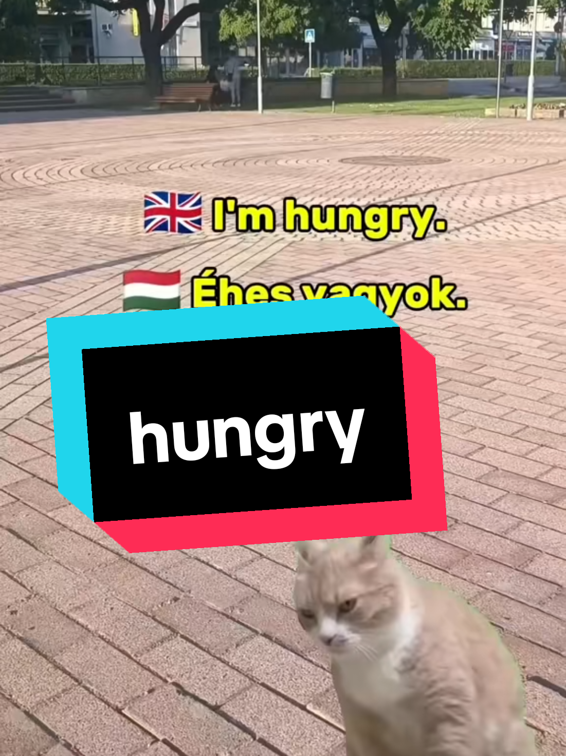 @Hungarian Pronunciation
