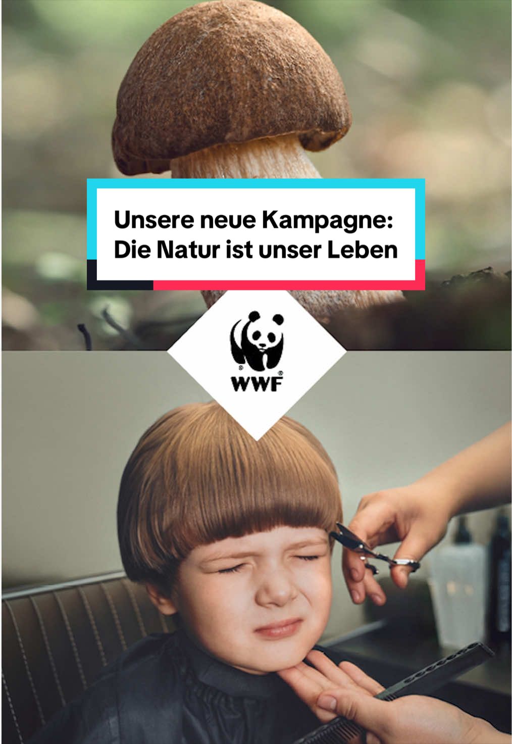 @WWF Schweiz