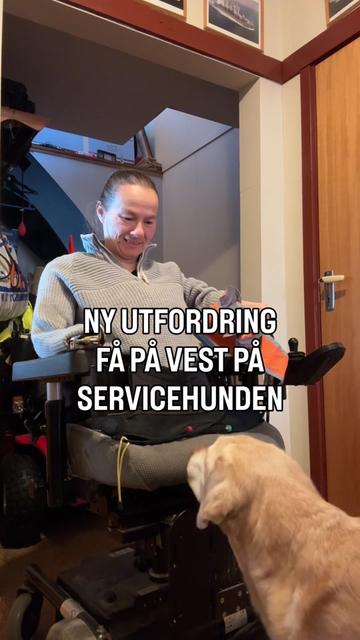 @MyHippiDog & Liv Tone 🇳🇴