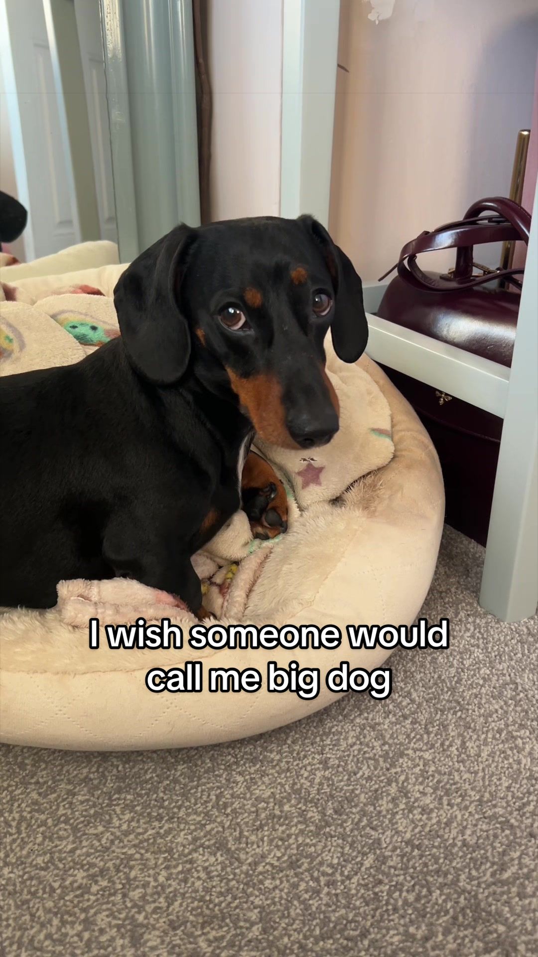 @Rebecca, Pip & Rolo