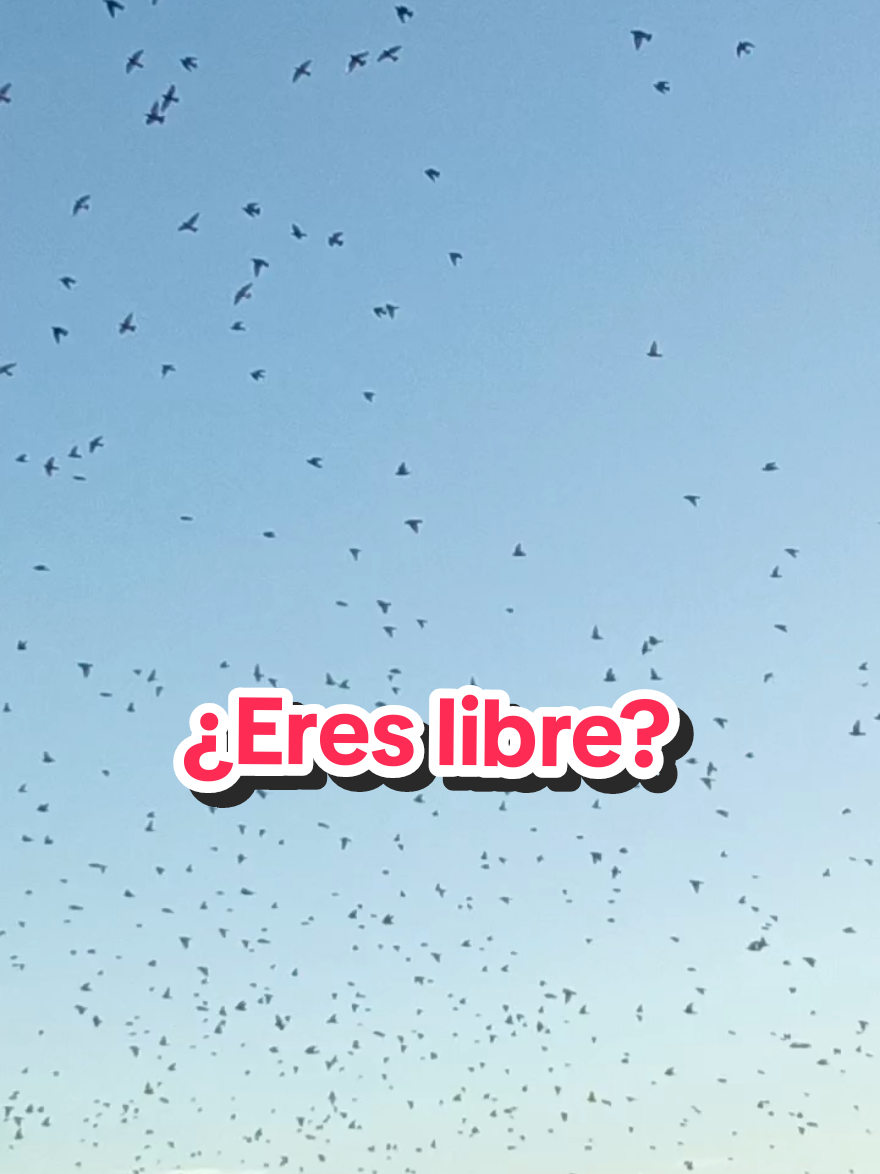@Noe Coach