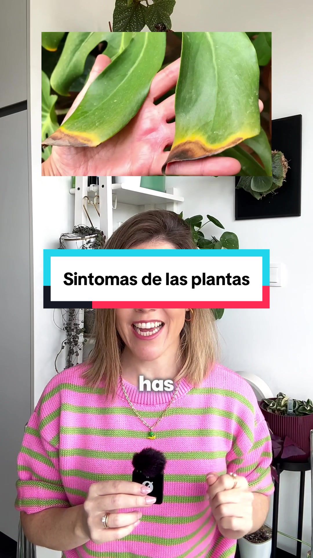 @🌱 En Abril Hojas Mil 🌱