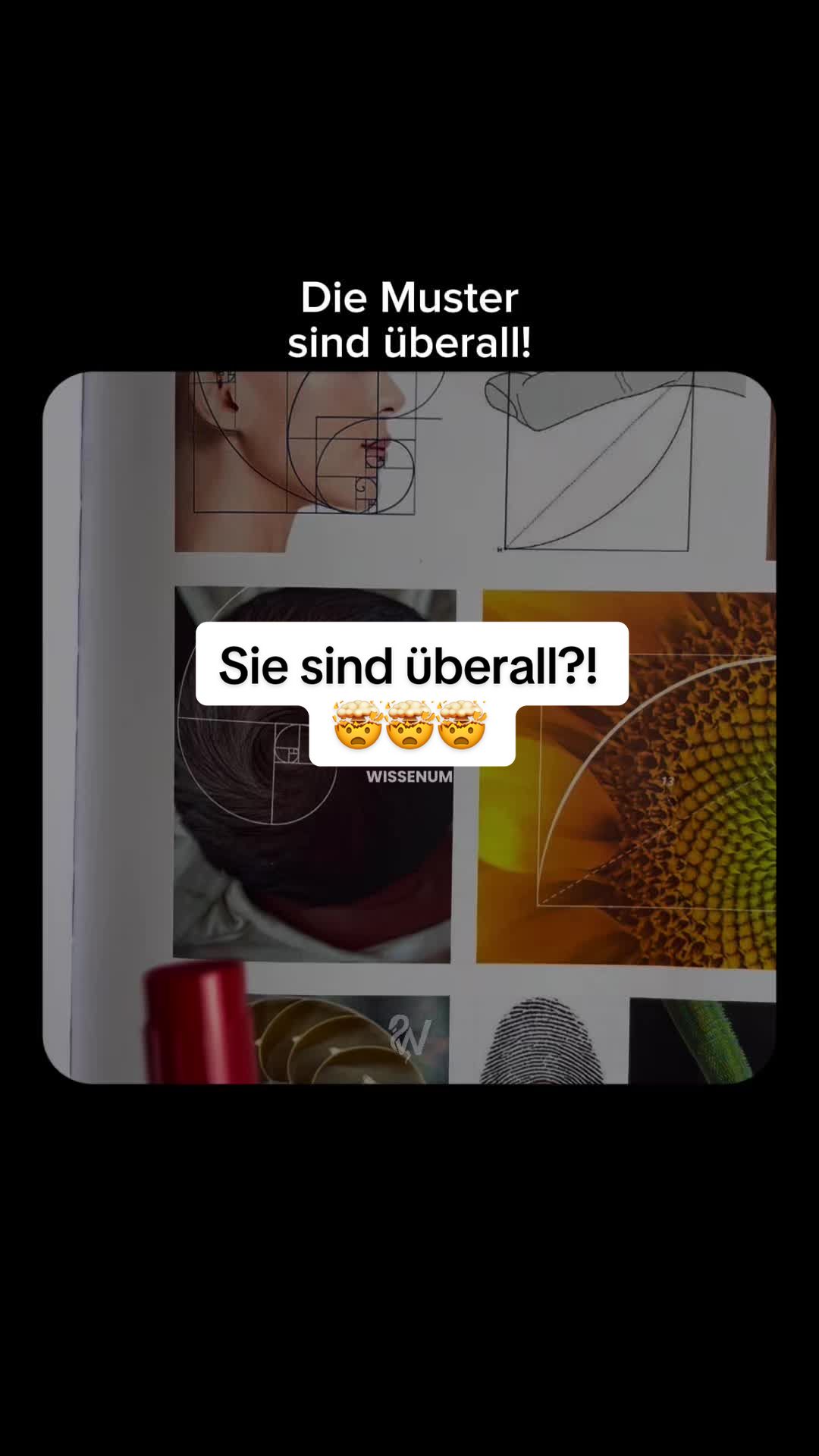 @thewissenum
