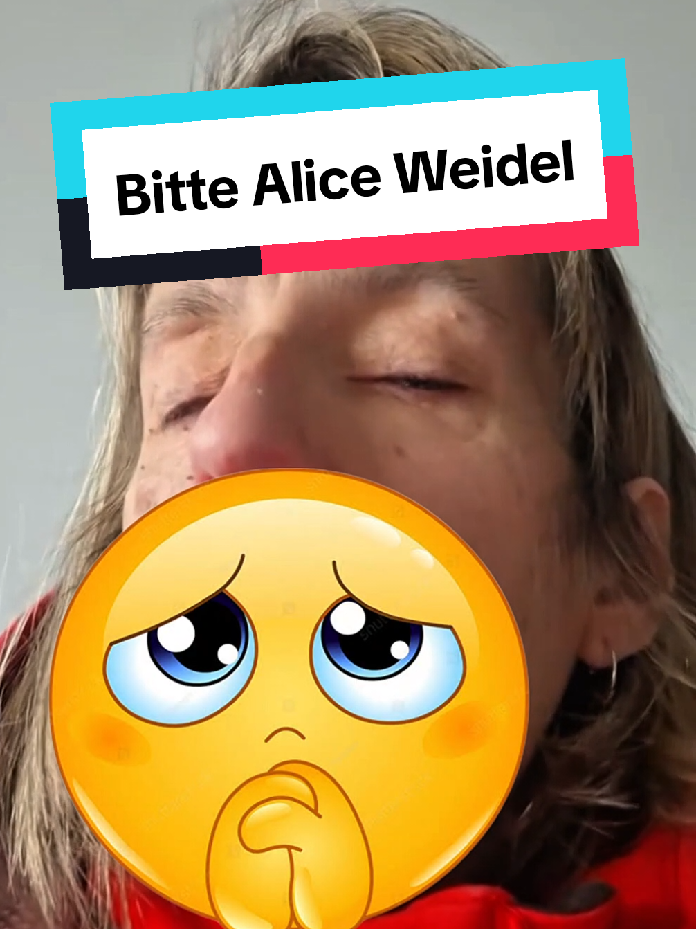 @AfD-Memes