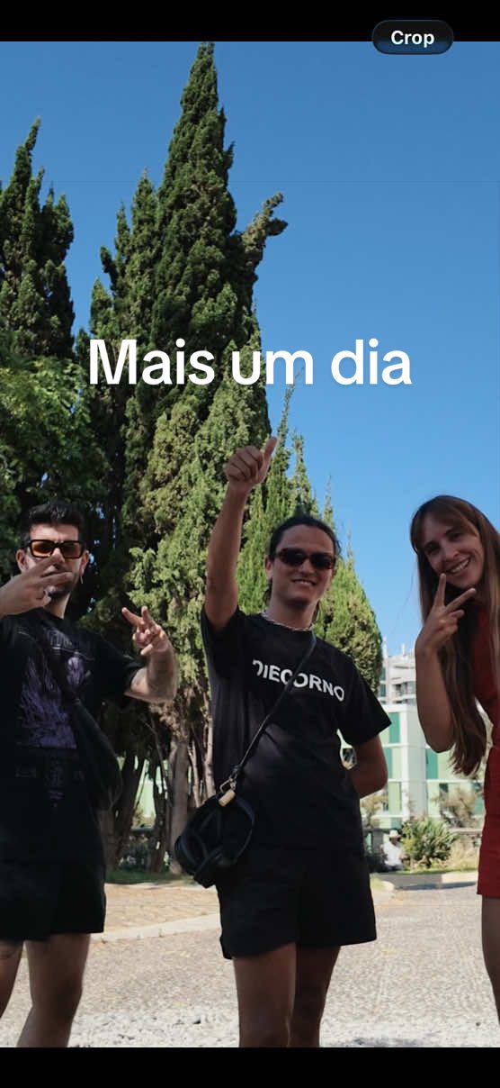 @Vitor Carraca Teixeira