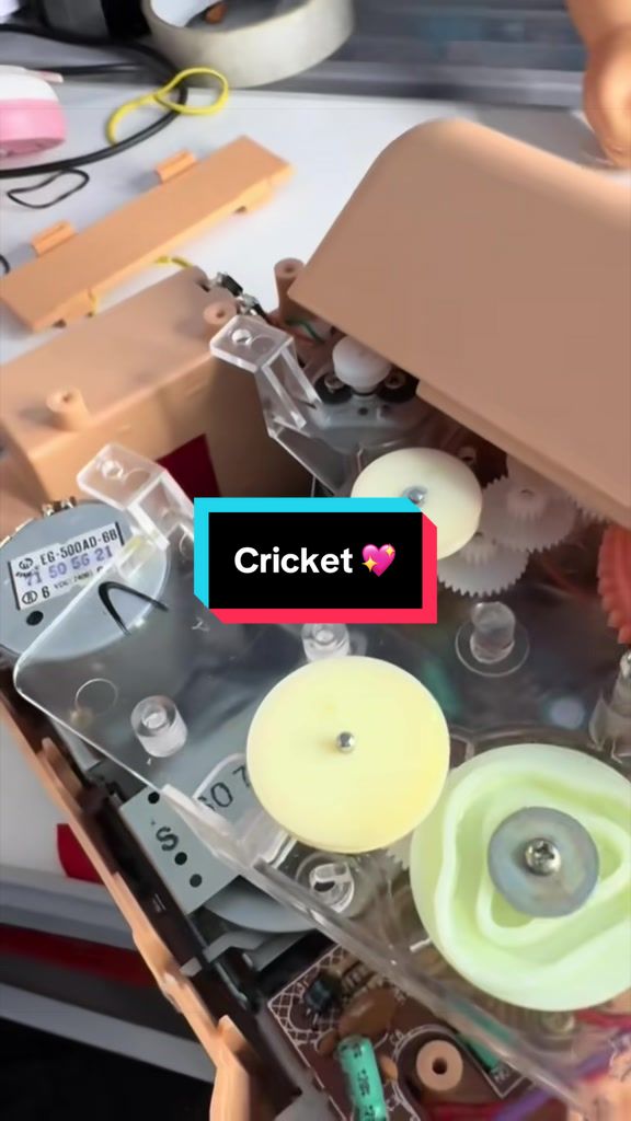 @Cricketgirl1985