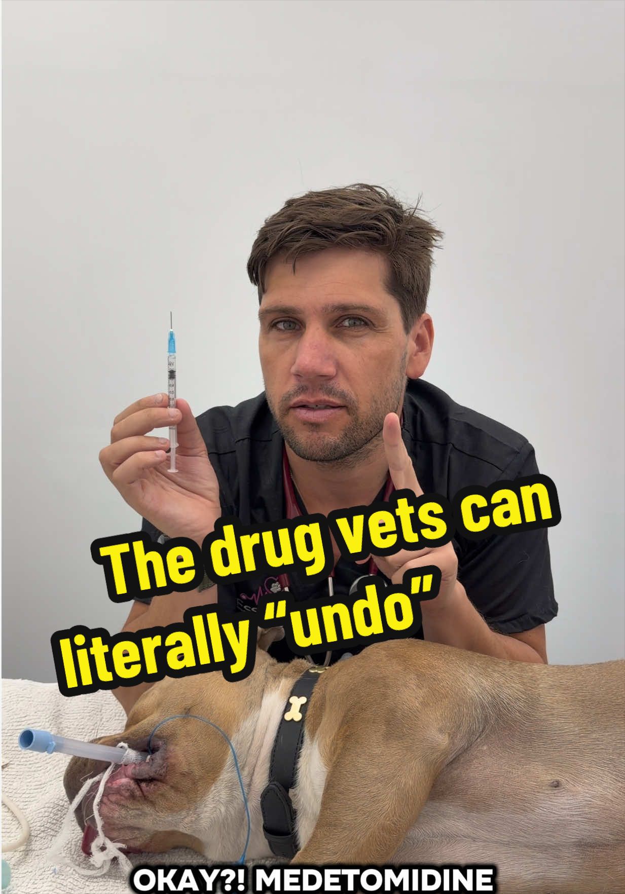 @Tomasthevet