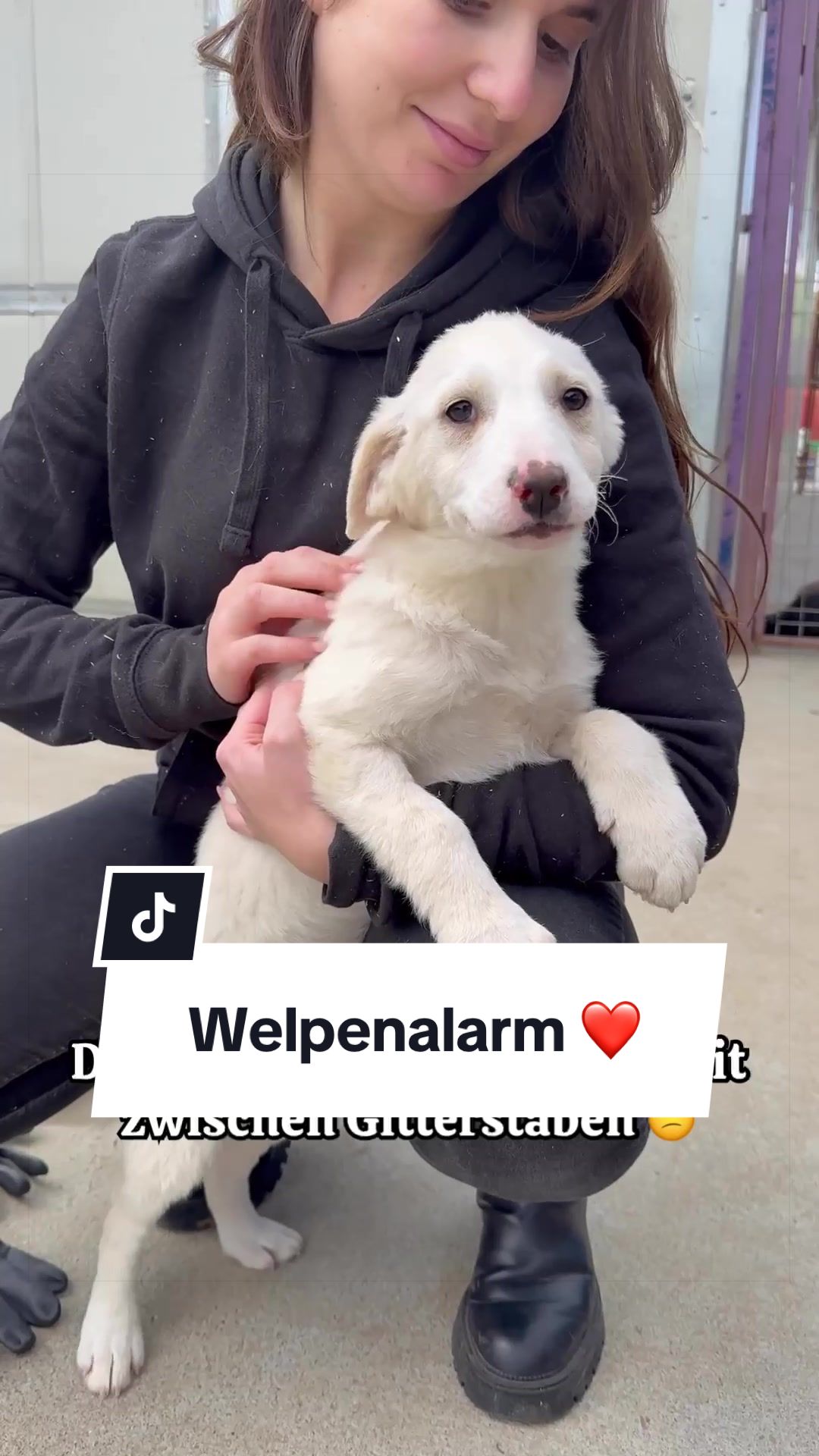 @Ein Herz für Streuner e.V.
