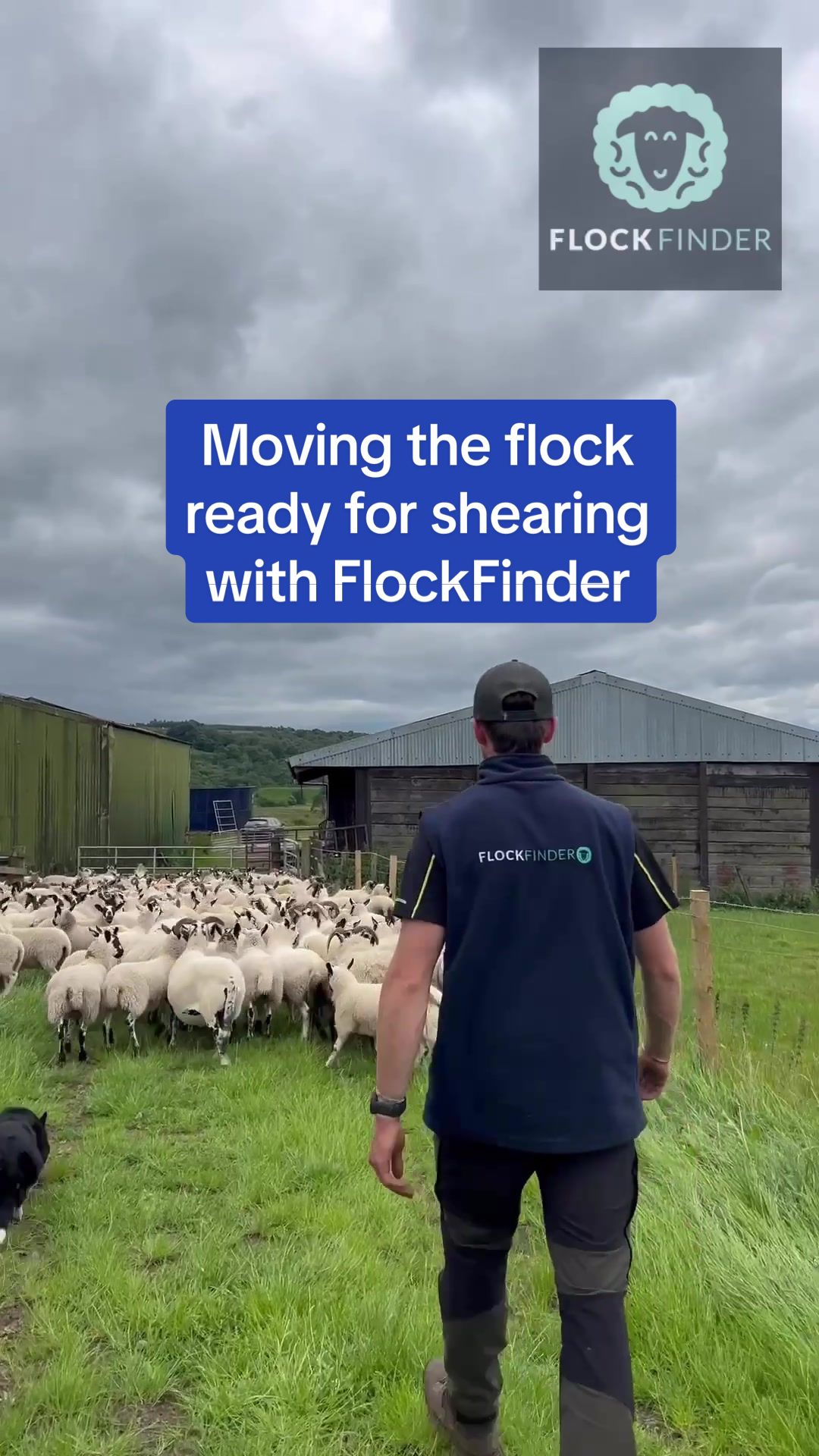 @FlockFinder