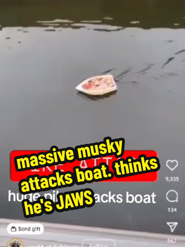 @pikeyMatt