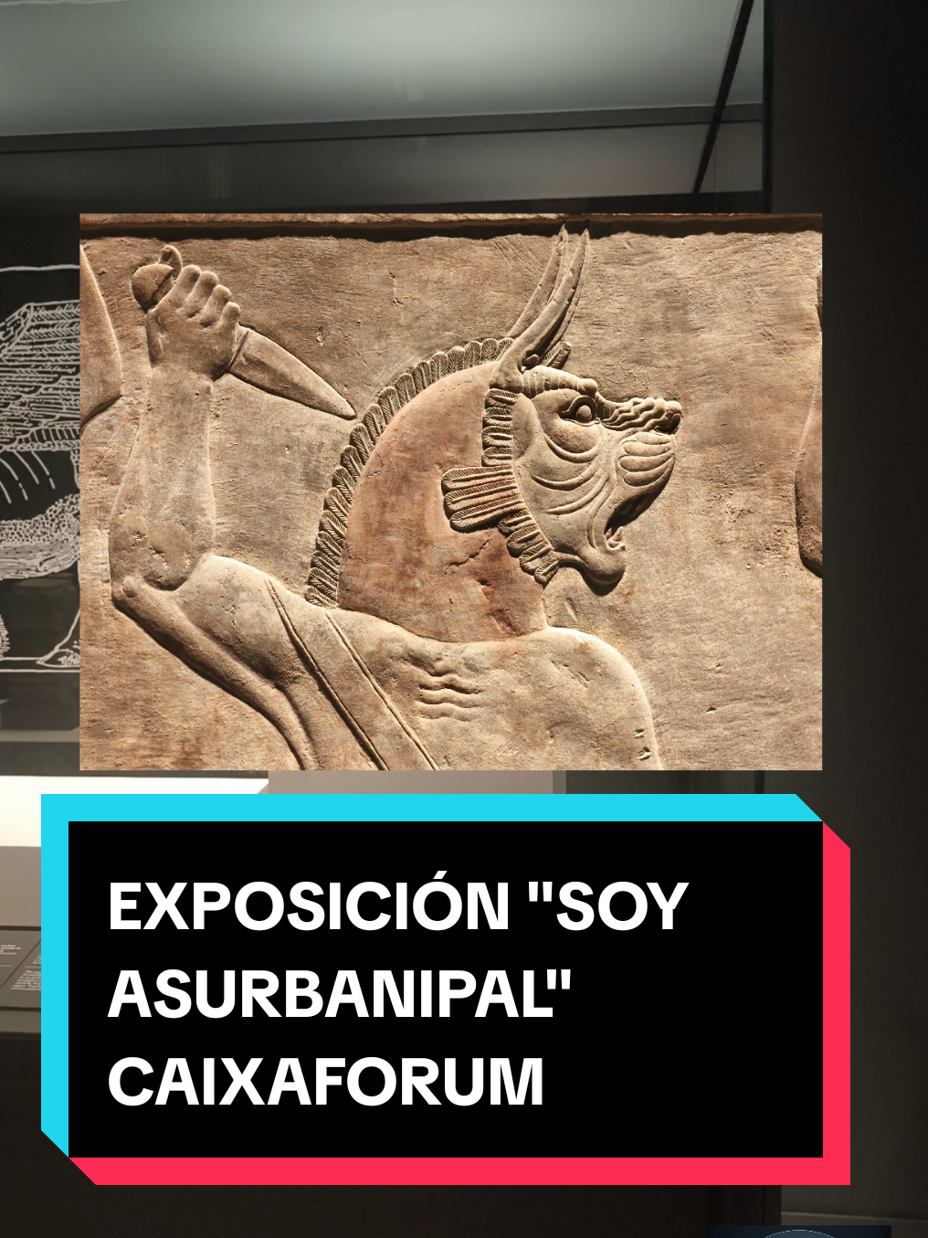 @𝕃𝔸𝕊 ℍ𝕆ℝ𝔸𝕊 ℙ𝔼ℝ𝔻𝕀𝔻𝔸𝕊