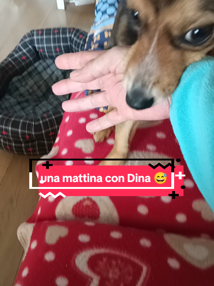 @briciola221dina24