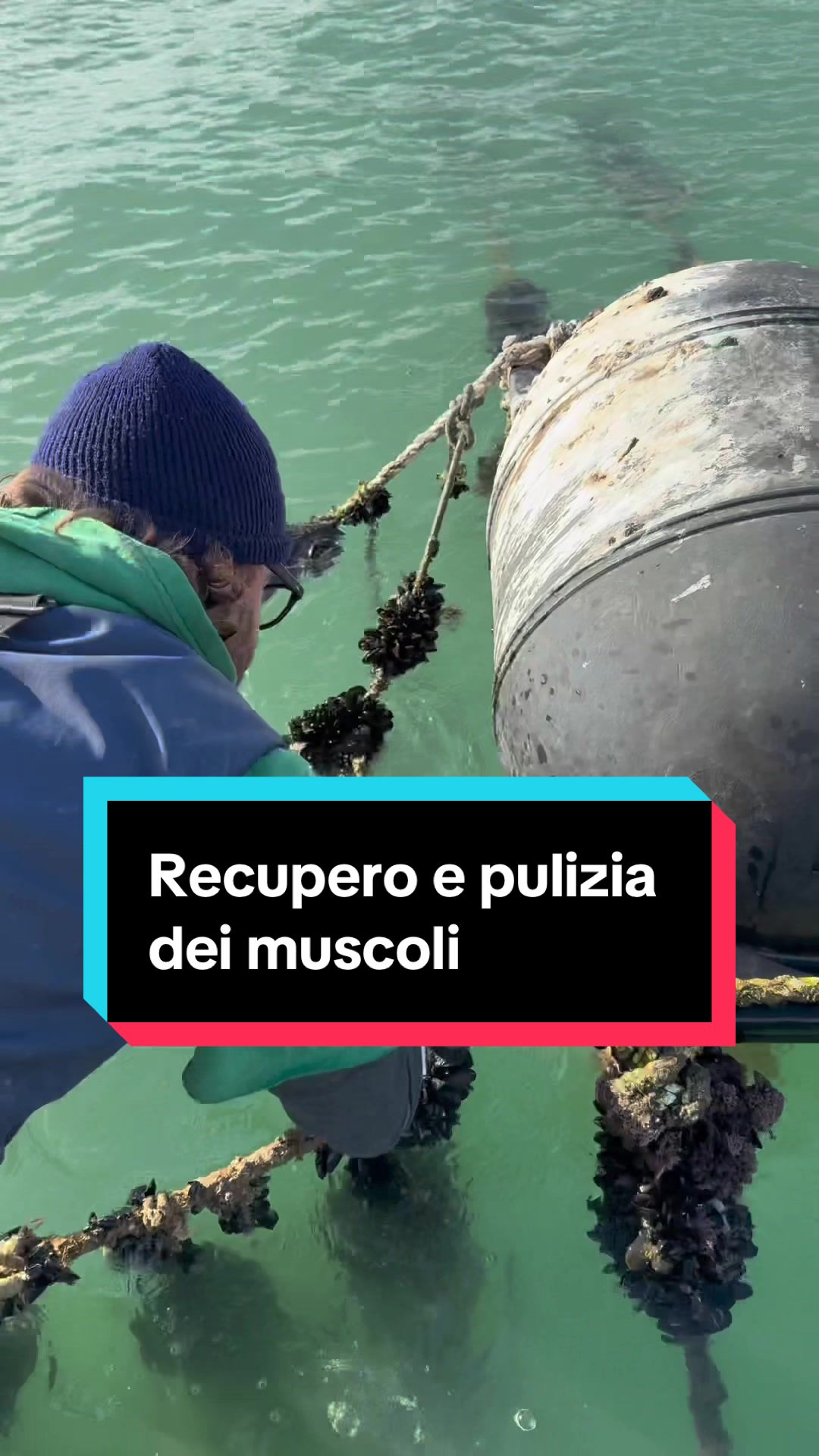 @Mitili&Mitili