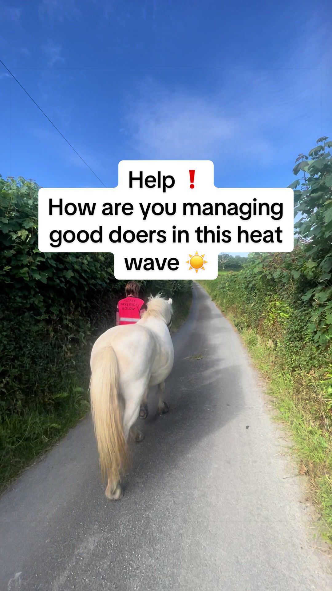 @jodiehenley