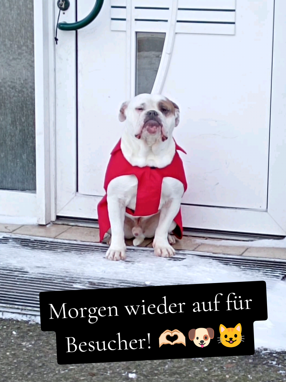 @Tierheim-Niedergrafschaft