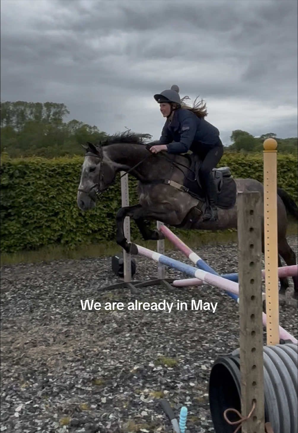 @Jess 🧠🐴🌱🐶