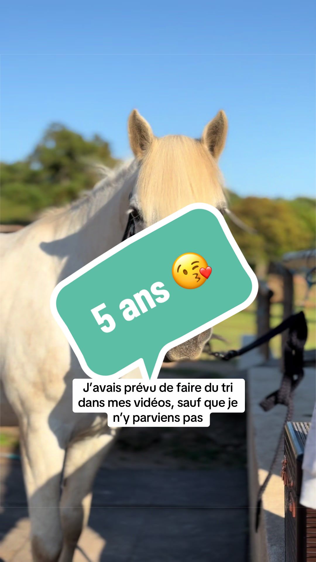 @Salut c&rsquo;est Marine
