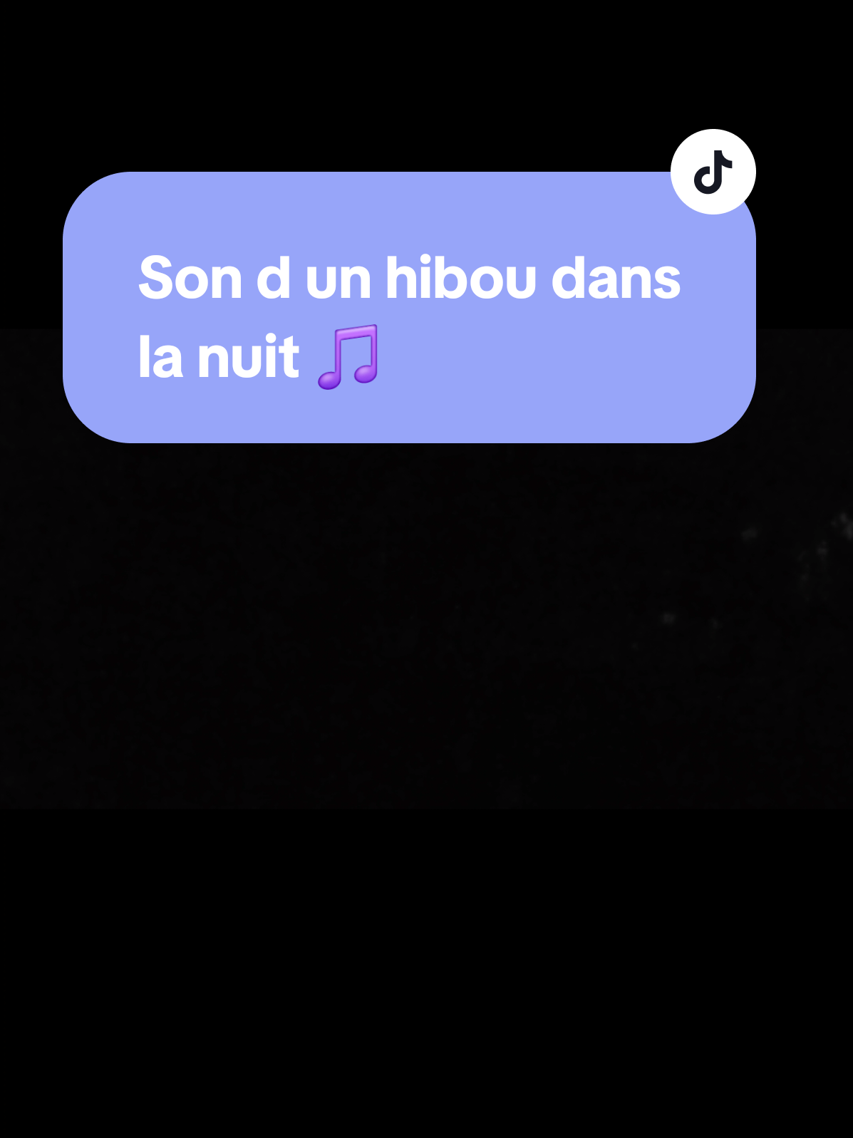 @NoémieRose26