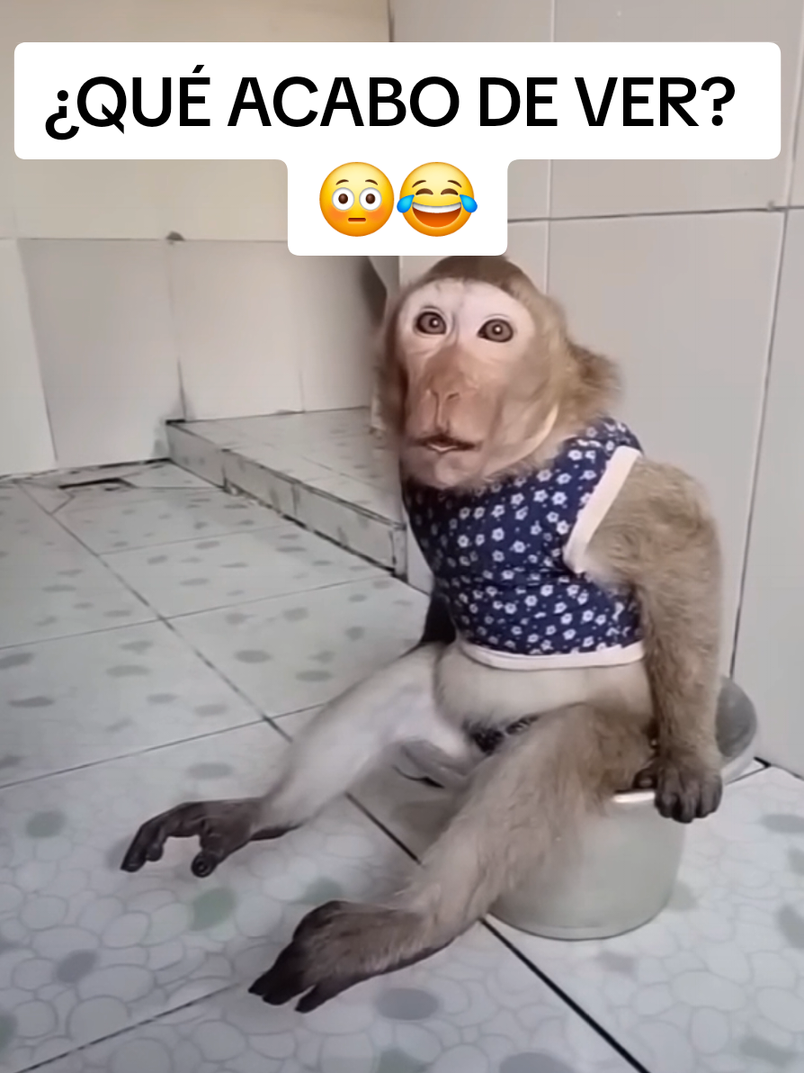@monkeyYAYA