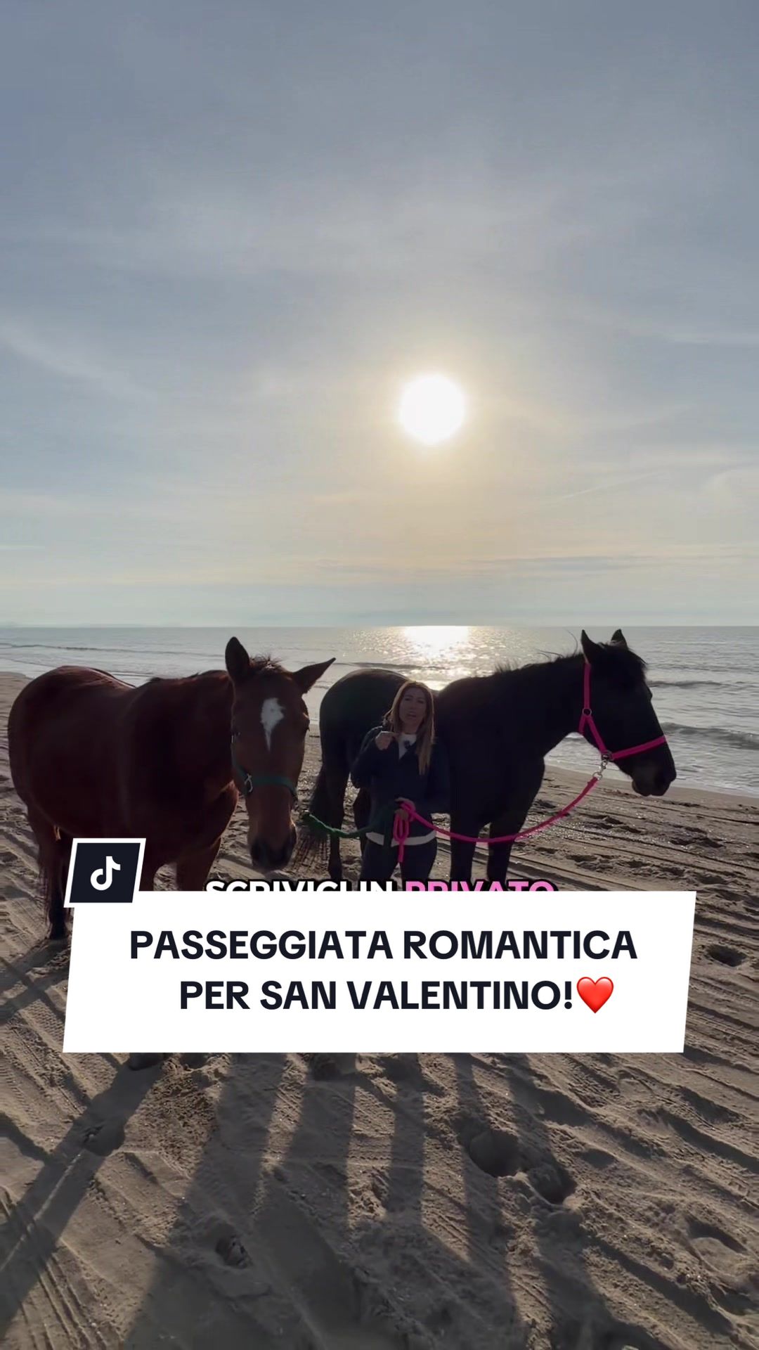 @ANGELACAPUANOHORSE