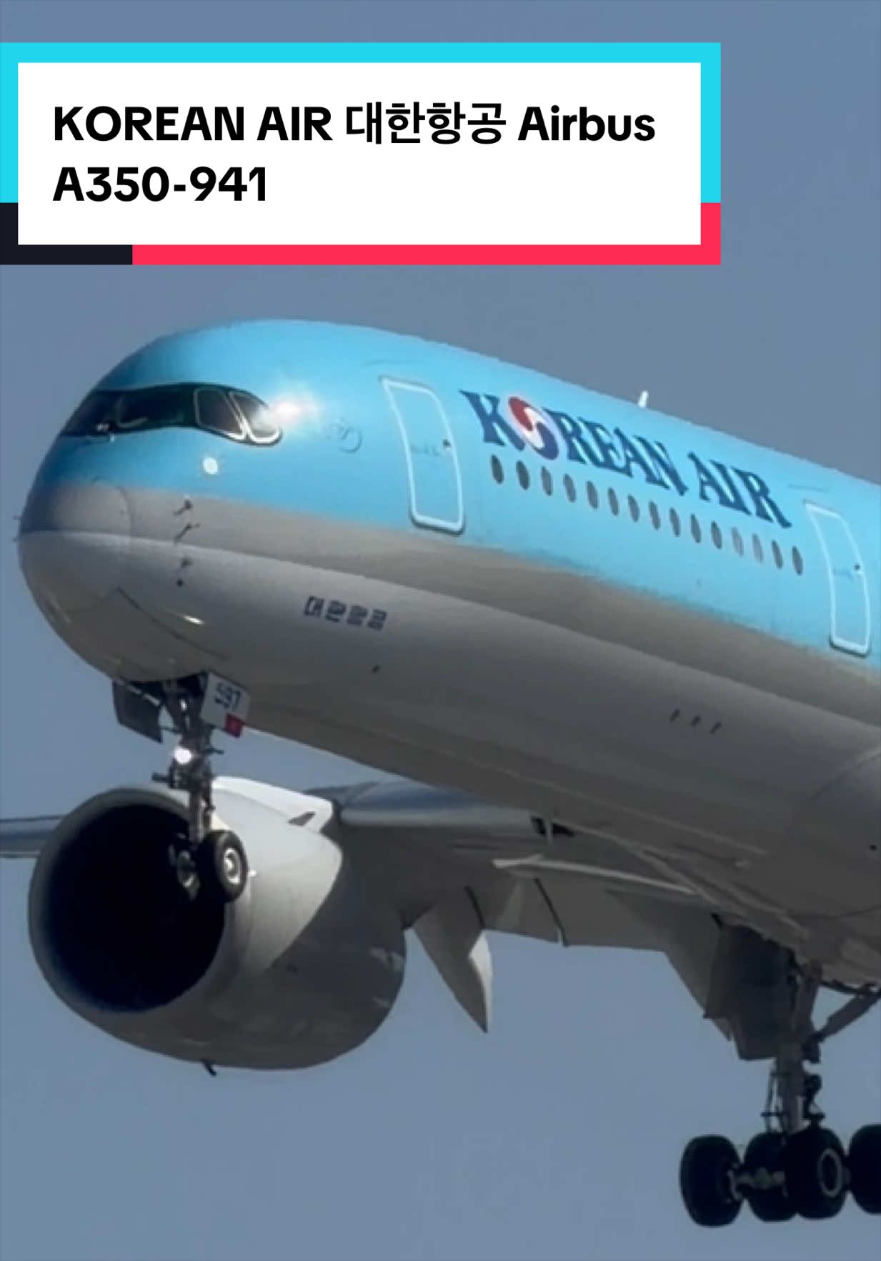@AVIATION_YYZ_SPOTTER
